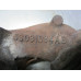 28M109 Right Exhaust Manifold For 02-04 Jeep Liberty  3.7 5303184AB